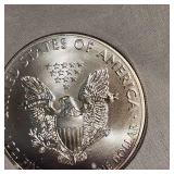 2013 Silver Eagle UNC w/Toning