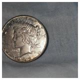 1923S  Peace Dollar $1