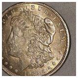 1921 Morgan Dollar $1=VG Beautiful Toning