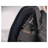 Electric Guitar with Seagull Case - Ibanez Like New Condition