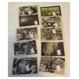 HUGE Box of Military Cards - 1964 Combat, GI Joe, WWII, Warning Signs, Desert Storm, Desert Shield, Civil War, Blue and Gray