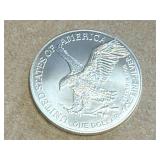 2024 1 oz Silver Eagle