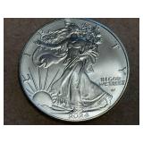 2024 1 oz Silver Eagle