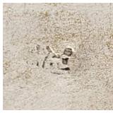 Antique Asian Dragon Motif Silver Trinket Container - Hallmarked - 50.21g