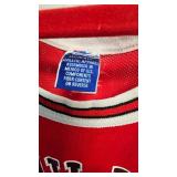 Vintage Chicago Bulls Jersey #23 Jordan