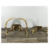 6 & 9 Point White Tail Buck Antlers