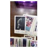 Minnesota Vikings Oversized Cards Vintas Lot, Plastic Case Included