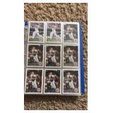 Minnesota Twins Baseball Card Binder Filled With Twins Cards