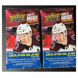 (2) 2020-2021 Upper Deck Hockey Extended Series Card Pack