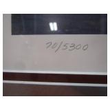 Paco Young "Quiet Rain" S&N Print 70/5300 34"x26" Frame