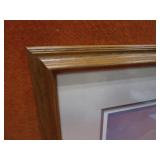 Mark Anderson "Autumn Mist" S&N Print 1036/1510 27"x23" Frame