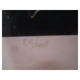 John Green "American Beauty" S&N Print 818/2000 14"x20" Image Size