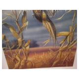 John Green "South Dakota