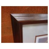 James Hartman Ducks Unlimited 1996 Duck Stamp S&N Print 7686/12111 17"x16" Frame Size