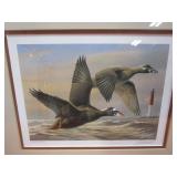 1996 Migratory Bird Hunting & Conservation Stamp S&N Print 16008/17500 17"x16" Frame Size