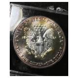 1987 AMERICAN SILVER EAGLE 1 TROY OZ .999 FINE SILVER IN CASE