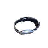 Swiss Army Brand Stainless Steel Wristwatch with Leather Band