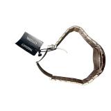 Citizen Titanium Men