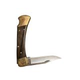 Buck 110 Folding Hunter Knife with Brass Bolsters and Leather Sheath
