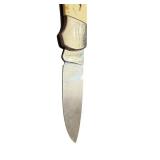 Sabre Stainless Folding Pocket Knife with Etched Wildlife Handle