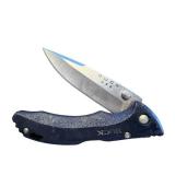 Buck USA Folding Pocket Knife with Textured Handle