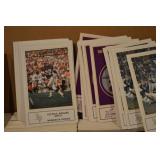 Minnesota Vikings Football Trading Cards - Assorted Bulk Lot
