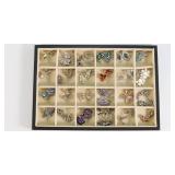 Better Costume Jewelry - Earrings