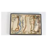 Better Costume Jewelry - Necklaces