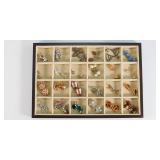 Better Costume Jewelry - Earrings