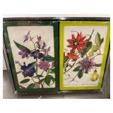 Hoyle Plastic Coated Playing Cards - Botanical Flower Illustrations (Lot of 10)