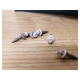 Bags of self tapping screws