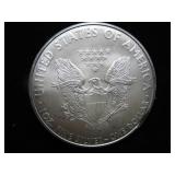 2010 American Eagle Silver $1