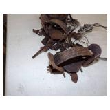 5 Double Spring Traps