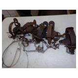 5 Double Spring Traps