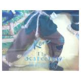 Ken the Scarecrow Hollywood Legends Wizard of Oz Collection NIB