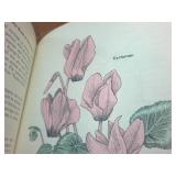 Collection of Vintage books including -  Commercial Law 1893 -  The Grafters 1904  Popular Hymns No. 2 (no date) Reader