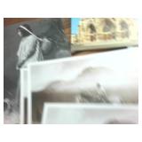 Large Lot of NEW never used postcards  1776  Vatican  Goats  Native  all have blank backs