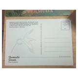 Journal book and post cards lot