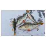 3 Nights Winter Lodge Stay, 1 Full Day Ice Fishing Adventure for 2 Singles or Couple (January 15-18, 2026)