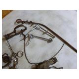 10 Victor Small Animal Food Traps