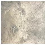 Pair of Antique Pewter Plates