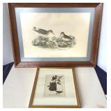 Pair of Nicely Framed Vintage Bird Prints