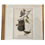 Pair of Nicely Framed Vintage Bird Prints