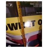 Lot of 20+ Real Large Movie Posters  Bratz Baby the Movie, Cinderella III, Finding Dory and many more