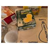 Assorted Light Bulbs and Reflector Lamps with Accessories