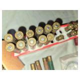 Federal .22 LR rounds, various shotgun shells, and Project ChildSafe gun locks