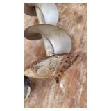 Two Steel Ice Auger Shafts