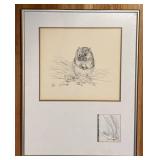LL - Framed Vintage Pencil Drawing of American Pika by Liz McMahon