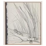 LL - Framed Vintage Pencil Drawing of American Pika by Liz McMahon