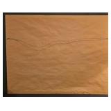 LL-FR - Signed & Numbered Como Park Conservatory Framed Print by Susan T. Amidon